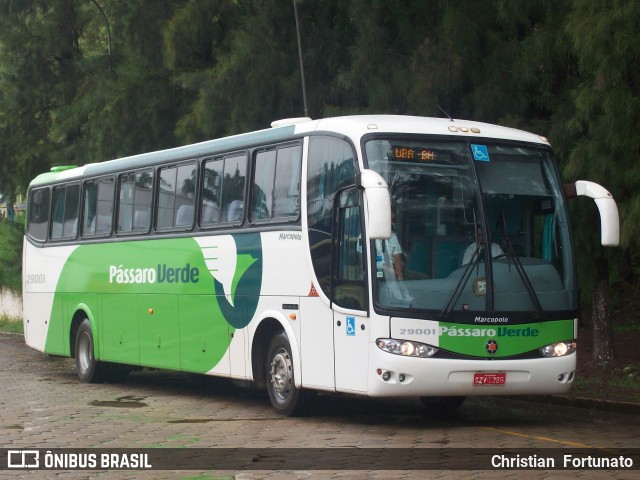 Pássaro Verde 29001 na cidade de Ubá, Minas Gerais, Brasil, por Christian  Fortunato. Número da foto: #13184357.