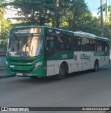 OT Trans - Ótima Salvador Transportes 21529 na cidade de Salvador, Bahia, Brasil, por BUSOLOGO BAIANO. Número da foto: #:id.