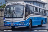 Buses Guadalupe 123 na cidade de San José, San José, Costa Rica, por Andrés Martínez Rodríguez. Número da foto: #13186139.