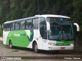 Pássaro Verde 29001 na cidade de Ubá, Minas Gerais, Brasil, por Christian  Fortunato. Número da foto: #13184357.