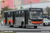 TRANSPPASS - Transporte de Passageiros 8 0258 na cidade de São Paulo, São Paulo, Brasil, por Wesley Araujo. Número da foto: #:id.
