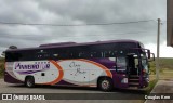 Pinheiro Tur 1700 na cidade de Farroupilha, Rio Grande do Sul, Brasil, por Douglas Kern. Número da foto: #13185571.