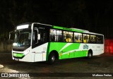 Viação Elite RJ 176.083 na cidade de Barra Mansa, Rio de Janeiro, Brasil, por Matheus Freitas. Número da foto: #13187016.