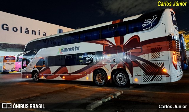 Viação Xavante 8900 na cidade de Goiânia, Goiás, Brasil, por Carlos Júnior. Número da foto: #13234154.
