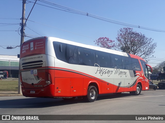 Empresa de Ônibus Pássaro Marron 5409 na cidade de São José dos Campos, São Paulo, Brasil, por Lucas Pinheiro. Número da foto: #13232912.