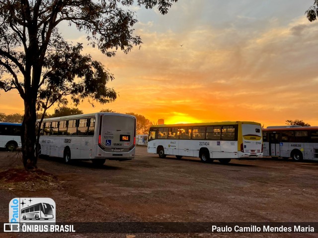 Viação Pioneira 227404 na cidade de Brasília, Distrito Federal, Brasil, por Paulo Camillo Mendes Maria. Número da foto: #13231891.