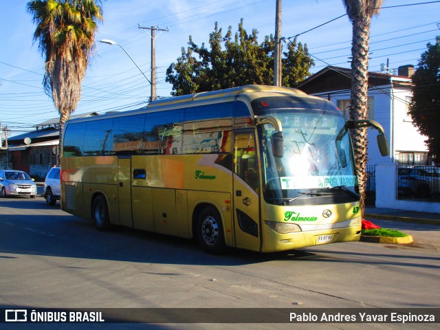 Talmocur 47 na cidade de Curicó, Curicó, Maule, Chile, por Pablo Andres Yavar Espinoza. Número da foto: #13232933.