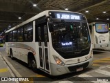 Del Rey Transportes 505 na cidade de Carapicuíba, São Paulo, Brasil, por Ítalo Silva. Número da foto: #13231617.