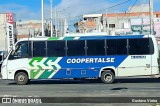 Coopertalse 153 na cidade de Nossa Senhora da Glória, Sergipe, Brasil, por Gustavo Vieira. Número da foto: #13233610.