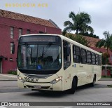 Araucária Transportes Coletivos 19036 na cidade de Curitiba, Paraná, Brasil, por BUSOLOGIA ACS Caetano. Número da foto: #13234061.