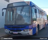 Ônibus Particulares 452 na cidade de Severínia, São Paulo, Brasil, por Miguel Castro. Número da foto: #13234168.