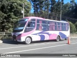 Buses Silpar 022 na cidade de Lota, Concepción, Bío-Bío, Chile, por Andrés Figueroa. Número da foto: #13232281.