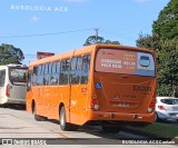 Viação Cidade Sorriso >> Viação Sorriso de Curitiba EA209 na cidade de Curitiba, Paraná, Brasil, por BUSOLOGIA ACS Caetano. Número da foto: #:id.