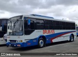 Brubuss Transportes 100 na cidade de Barueri, São Paulo, Brasil, por José Vitor Oliveira Soares. Número da foto: #13232851.