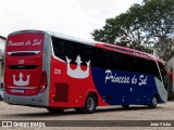 Empresa Expresso Princesa do Sul 226 na cidade de Teresina, Piauí, Brasil, por João Victor. Número da foto: #13234102.