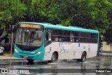 ANSAL - Auto Nossa Senhora de Aparecida 339 na cidade de Juiz de Fora, Minas Gerais, Brasil, por Gabriel Cruz. Número da foto: #13234580.