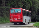 ANSAL - Auto Nossa Senhora de Aparecida 799 na cidade de Juiz de Fora, Minas Gerais, Brasil, por Gabriel Cruz. Número da foto: #13234595.
