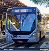 BluMob - Concessionária de Transporte Urbano de Blumenau 9309 na cidade de Blumenau, Santa Catarina, Brasil, por Iago Scheineider. Número da foto: #13234208.