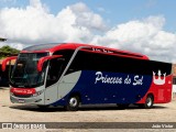 Empresa Expresso Princesa do Sul 226 na cidade de Teresina, Piauí, Brasil, por João Victor. Número da foto: #13234145.