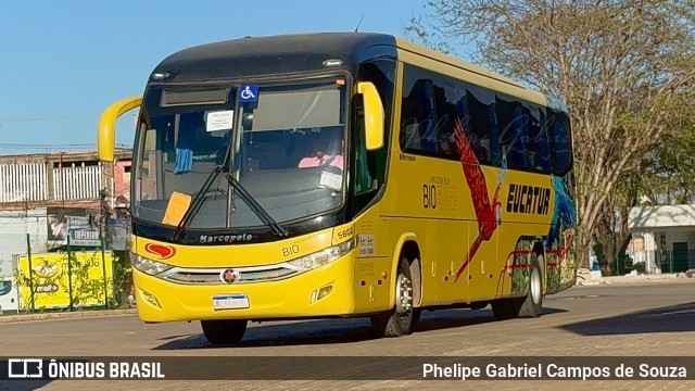 Eucatur - Empresa União Cascavel de Transportes e Turismo 5602 na cidade de Porto Velho, Rondônia, Brasil, por Phelipe Gabriel Campos de Souza. Número da foto: #13236677.