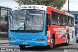 Buses Guadalupe 15 na cidade de Guadalupe, Goicoechea, San José, Costa Rica, por Sebastian Ávila. Número da foto: #13234957.