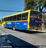 Auto Viação Reginas RJ 110.244 na cidade de Duque de Caxias, Rio de Janeiro, Brasil, por Natan Lima. Número da foto: #13237375.