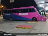 Trans Brasil > TCB - Transporte Coletivo Brasil 110229 na cidade de São José do Rio Preto, São Paulo, Brasil, por João Vitor Pereira. Número da foto: #13235115.