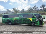 Pássaro Verde 15132 na cidade de Ouro Preto, Minas Gerais, Brasil, por Tiago Wenceslau de Souza. Número da foto: #:id.