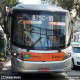 TRANSPPASS - Transporte de Passageiros 8 0163 na cidade de São Paulo, São Paulo, Brasil, por Michel Nowacki. Número da foto: #:id.