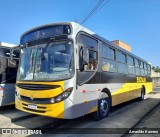 Ônibus Circular Ltda 690 na cidade de Rio do Sul, Santa Catarina, Brasil, por Amarildo Kamers. Número da foto: #13236106.