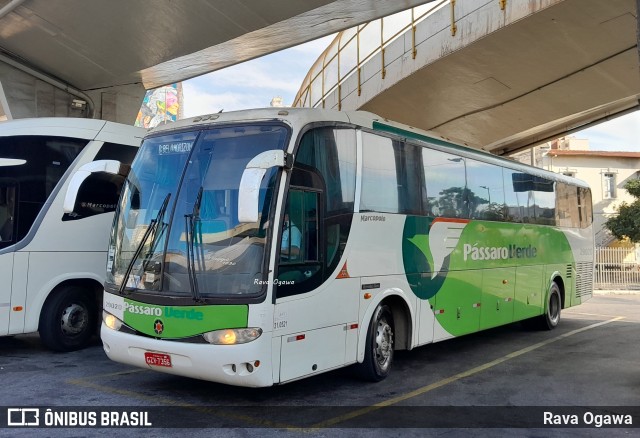 Pássaro Verde 29020 na cidade de Belo Horizonte, Minas Gerais, Brasil, por Rava Ogawa. Número da foto: #13240666.