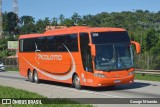 Picolotto Turismo 2016 na cidade de Santa Isabel, São Paulo, Brasil, por George Miranda. Número da foto: #13239933.
