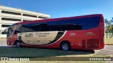 Viajando Turismo Gramado 1506 na cidade de Porto Alegre, Rio Grande do Sul, Brasil, por RODRIGO Souza. Número da foto: #13238720.