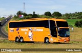 Empresa de Ônibus Nossa Senhora da Penha 7002 na cidade de Apucarana, Paraná, Brasil, por Pedroka Ternoski. Número da foto: #13240052.