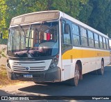 Transporte Rural 2305 na cidade de Severínia, São Paulo, Brasil, por Miguel Castro. Número da foto: #13239017.