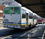 Trevo Transportes Coletivos 1074 na cidade de Porto Alegre, Rio Grande do Sul, Brasil, por Diego Soares. Número da foto: #13238810.