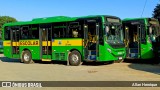 Transportes Capellini 12386 na cidade de Paulínia, São Paulo, Brasil, por Allan Henrique. Número da foto: #13238541.