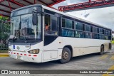 Transportes Charo 00 na cidade de Alajuela, Alajuela, Costa Rica, por Andrés Martínez Rodríguez. Número da foto: #13239363.
