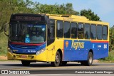 Auto Viação Reginas RJ 110.084 na cidade de Magé, Rio de Janeiro, Brasil, por Paulo Henrique Pereira Borges. Número da foto: #13239796.