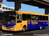 Auto Viação Reginas RJ 110.356 na cidade de Rio de Janeiro, Rio de Janeiro, Brasil, por Jordan Santos do Nascimento. Número da foto: #:id.