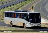 Expresso Paloma 3C57 na cidade de Apucarana, Paraná, Brasil, por Pedroka Ternoski. Número da foto: #13240713.