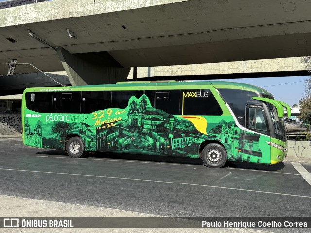 Pássaro Verde 15132 na cidade de Belo Horizonte, Minas Gerais, Brasil, por Paulo Henrique Coelho Correa. Número da foto: #13242000.