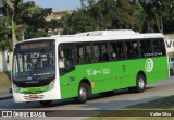 Tijuquinha - Auto Viação Tijuca C50124 na cidade de Rio de Janeiro, Rio de Janeiro, Brasil, por Valter Silva. Número da foto: #13241585.
