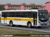 Escolares 1501 na cidade de Campinas, São Paulo, Brasil, por Gabriel Oliveira Caldas da Nobrega. Número da foto: #13242490.