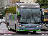 Pássaro Verde 24186 na cidade de Belo Horizonte, Minas Gerais, Brasil, por Renato Brito. Número da foto: #:id.