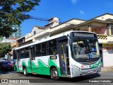 Bonanza Transportes 227357 na cidade de São Lourenço, Minas Gerais, Brasil, por Vanderci Valentim. Número da foto: #13243754.