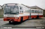 Empresa de Ônibus Pássaro Marron 91 na cidade de Pindamonhangaba, São Paulo, Brasil, por Reginaldo Vieira. Número da foto: #13241046.