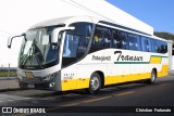 Transur - Transporte Rodoviário Mansur 6630 na cidade de Juiz de Fora, Minas Gerais, Brasil, por Christian  Fortunato. Número da foto: #13241250.