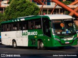 Viação Galo Branco RJ 181.017 na cidade de Rio de Janeiro, Rio de Janeiro, Brasil, por Jordan Santos do Nascimento. Número da foto: #13241011.