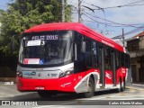 Himalaia Transportes > Ambiental Transportes Urbanos 41597 na cidade de São Paulo, São Paulo, Brasil, por Carlos Alberto Matias. Número da foto: #13242982.